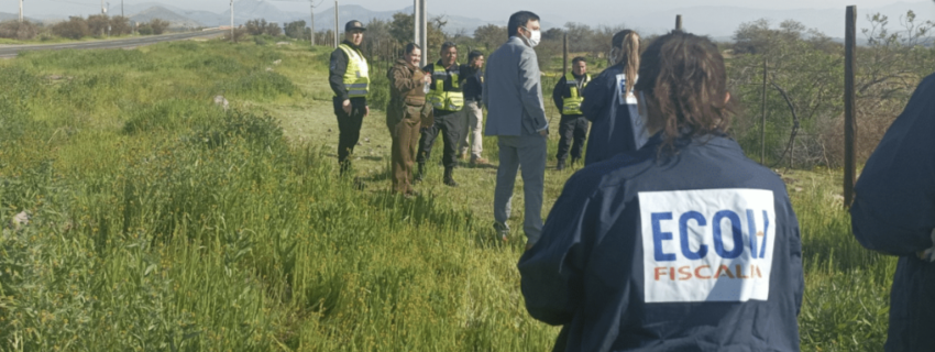 Comisión de Agricultura aprueba texto que agrava sanciones por delitos en zonas rurales | Abogados Puerto Montt - Bufete de Abogados Puerto Montt